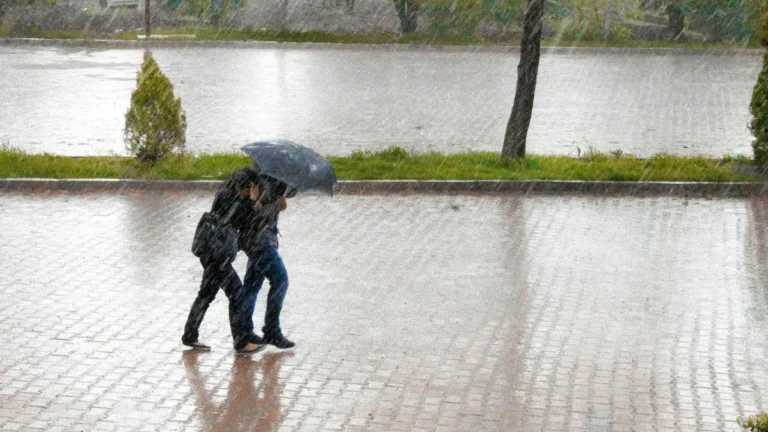 Top Safety Measures to Handle Heavy Rain in Workplace