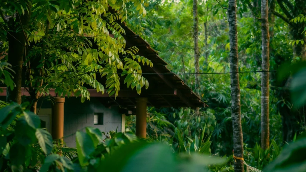 Coorg, Karnataka