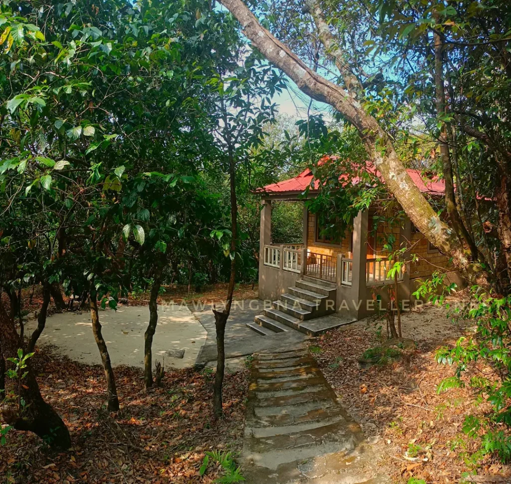 Traveller's Nest, Mawsynram