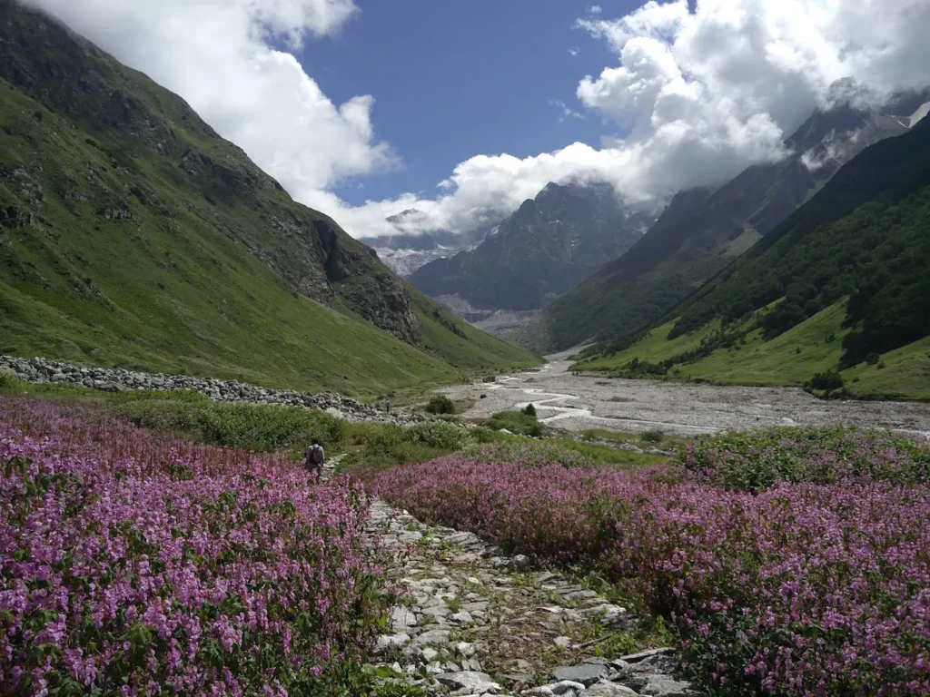 Valley of Flowers, Uttarakhand