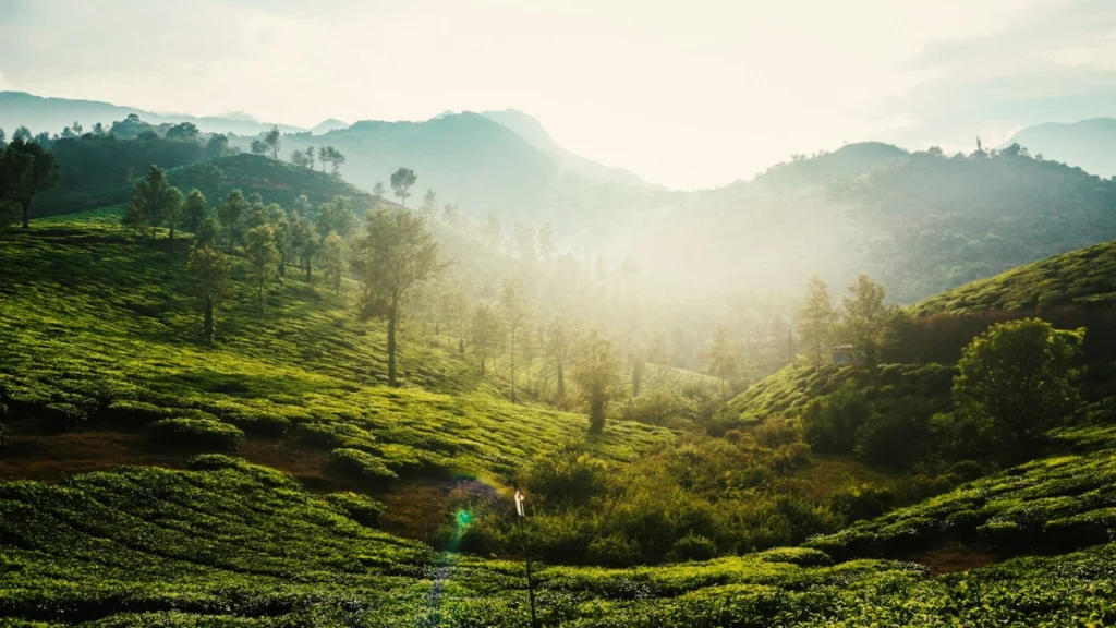 Wayanad, Kerala