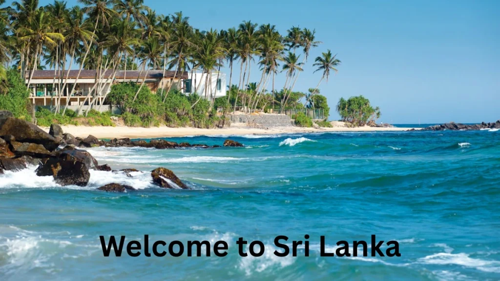 Best Travel Destinations in Sri Lanka During Monsoon