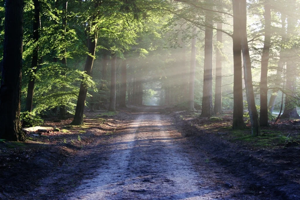 Staying Safe on Slippery Paths