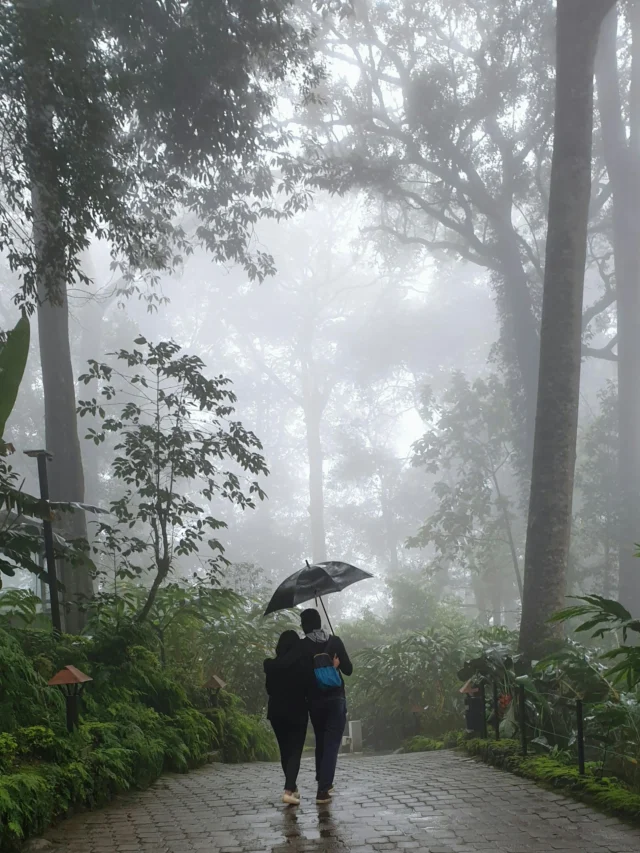 Best Romantic Monsoon Destinations for Couples