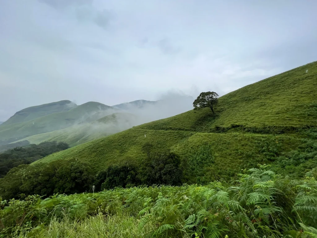 Kudremukh
