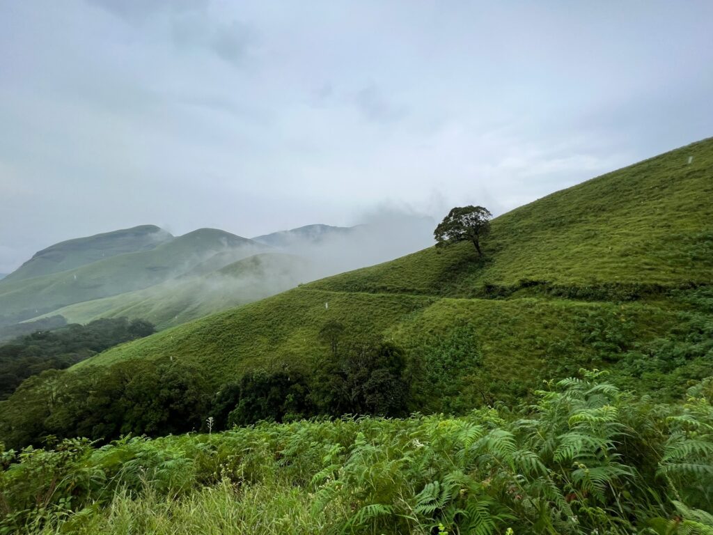 Kudremukh