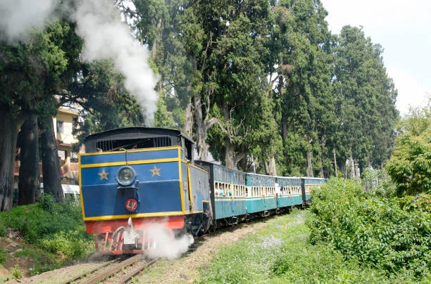 Nilgiri Mountain Railway