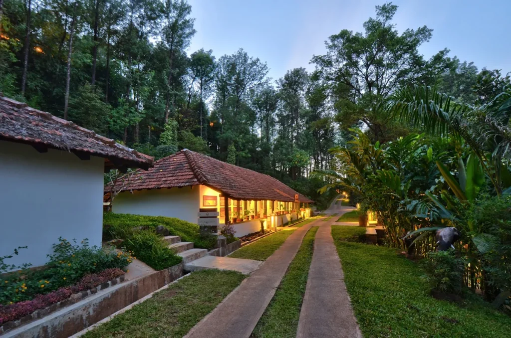 The Tamara Coorg