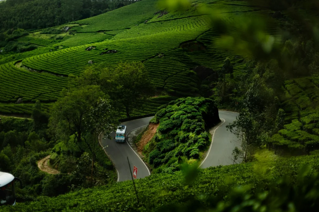 Wayanad