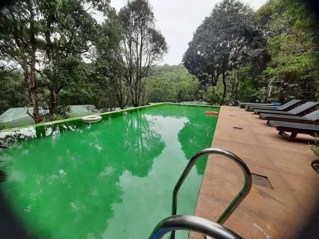 Wayanad Wild by CGH Earth