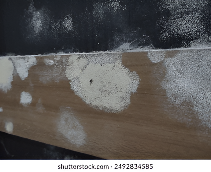  Humidity destroys wooden furniture