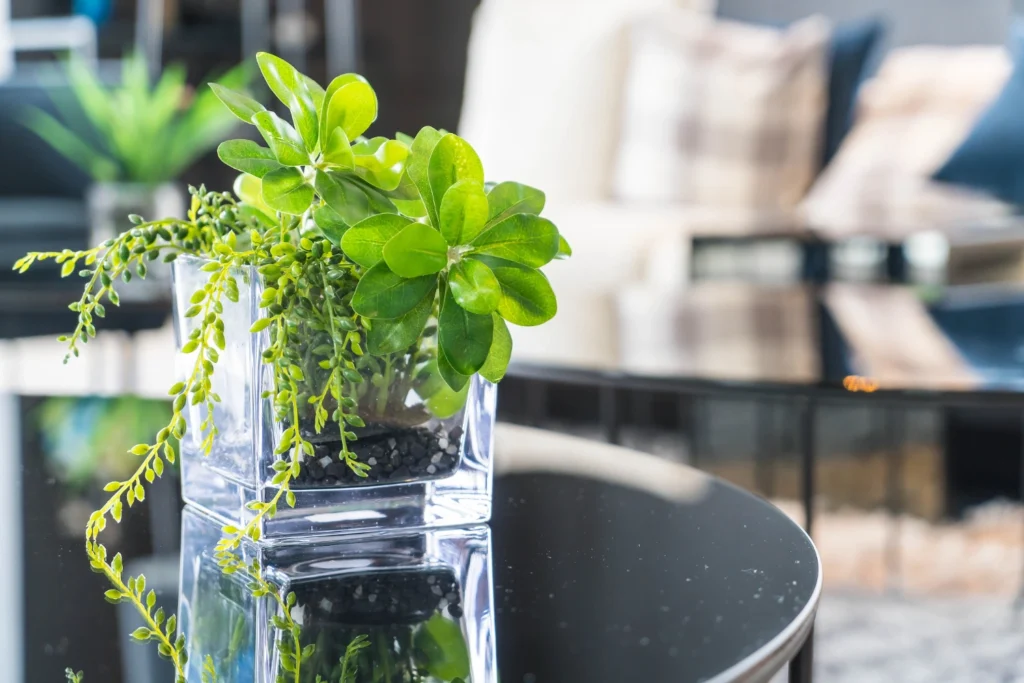 Best Air-Purifying Plants for Damp Rooms