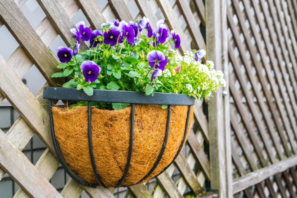 Fixing your pots and planters