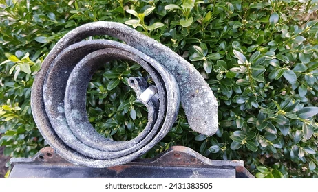 Why moisture destroys leather