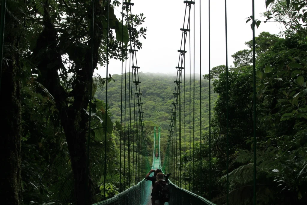 Costa Rica's Cloud Forests