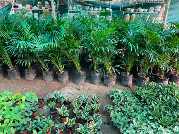 Row Covers, Nets, and Protective Fabrics