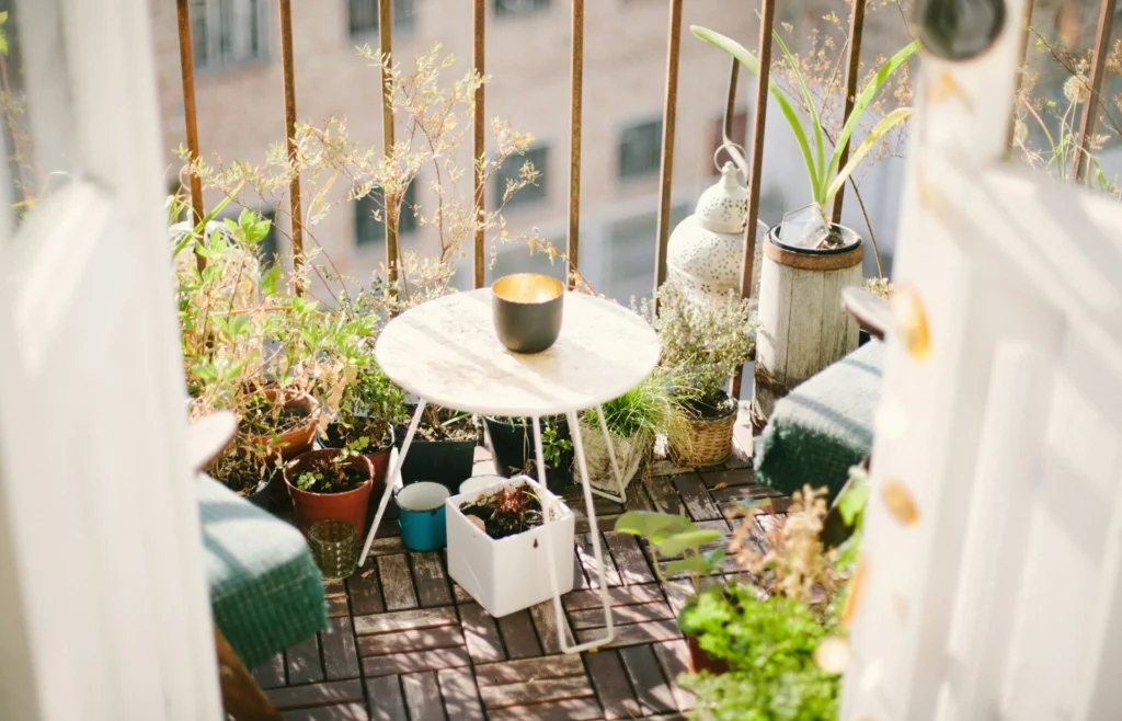 Terrace and Balcony Pots