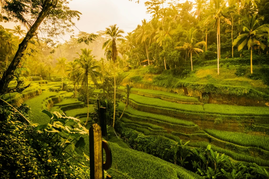 Ubud, Bali, Indonesia