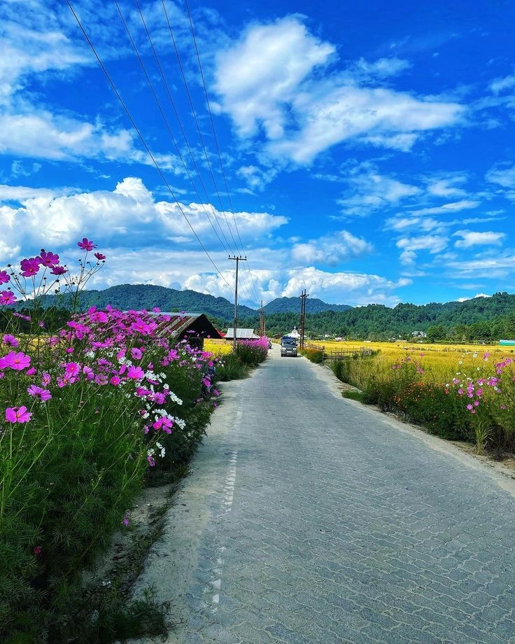 Ziro Valley, Arunachal Pradesh, India