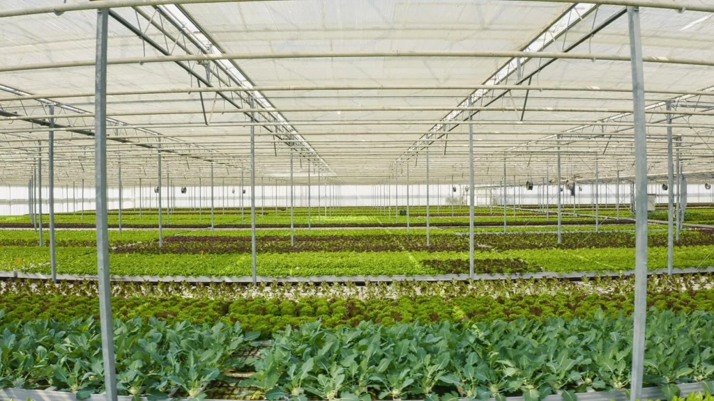 agro-net fencing