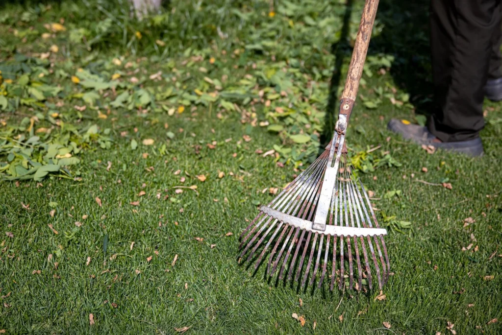 cultivator or garden rake