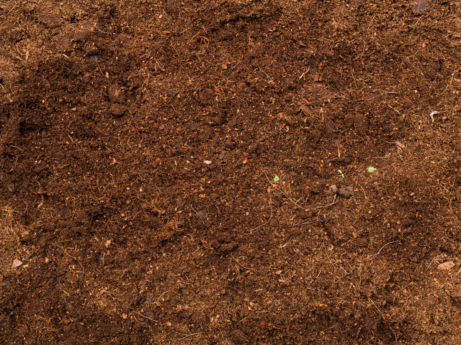 soil in monsoon