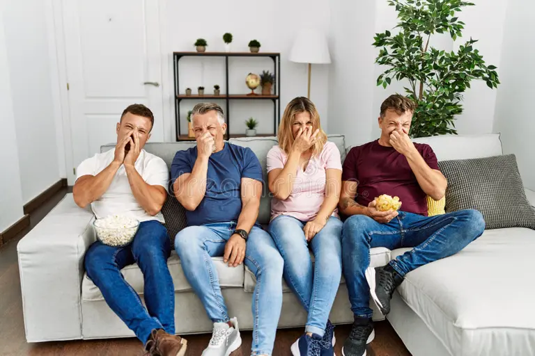How to remove damp musty smell from heavy curtains and sofa covers